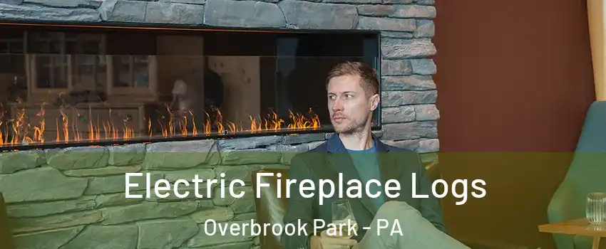 Electric Fireplace Logs Overbrook Park - PA