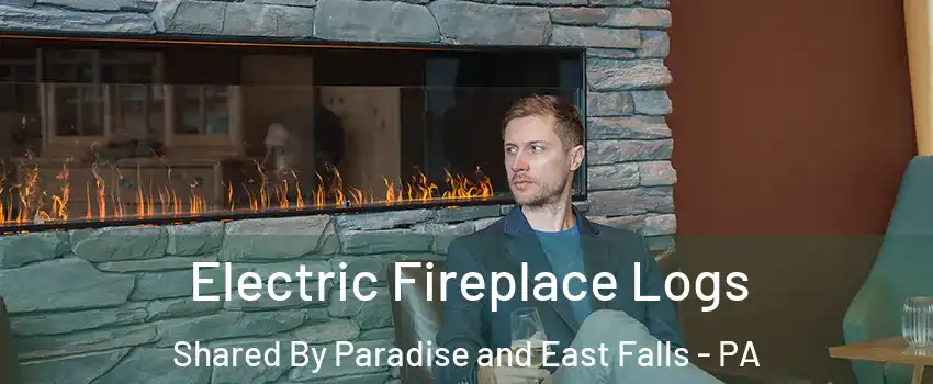 Electric Fireplace Logs Shared By Paradise and East Falls - PA