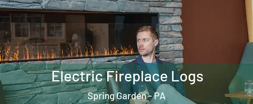 Electric Fireplace Logs Spring Garden - PA