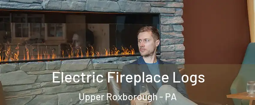 Electric Fireplace Logs Upper Roxborough - PA