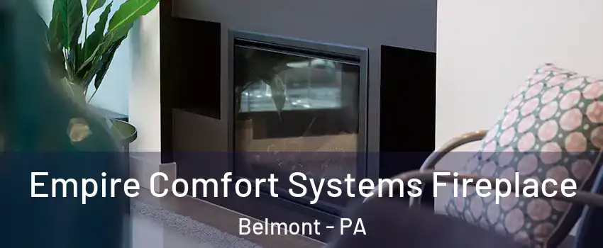 Empire Comfort Systems Fireplace Belmont - PA