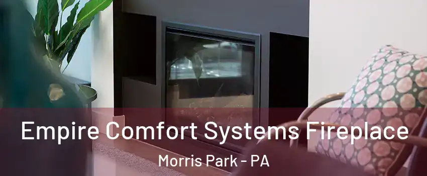 Empire Comfort Systems Fireplace Morris Park - PA