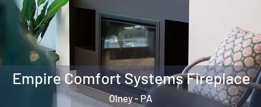 Empire Comfort Systems Fireplace Olney - PA