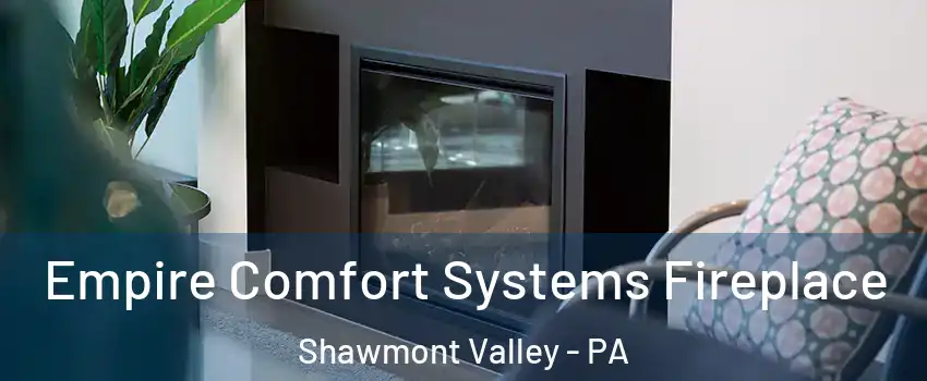 Empire Comfort Systems Fireplace Shawmont Valley - PA