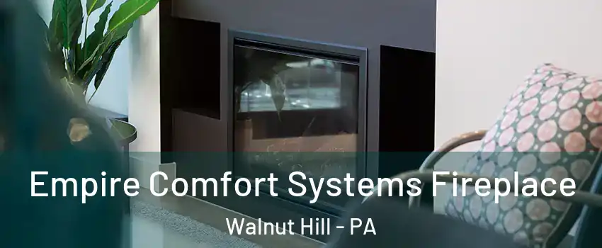 Empire Comfort Systems Fireplace Walnut Hill - PA
