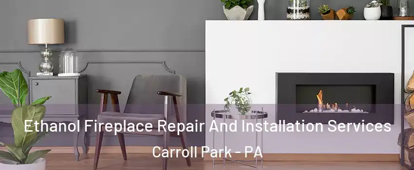 Ethanol Fireplace Repair And Installation Services Carroll Park - PA