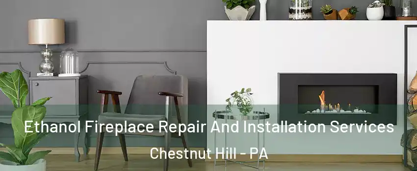 Ethanol Fireplace Repair And Installation Services Chestnut Hill - PA