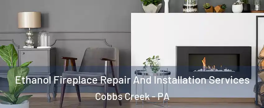Ethanol Fireplace Repair And Installation Services Cobbs Creek - PA