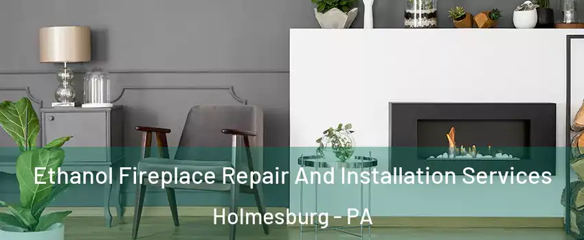 Ethanol Fireplace Repair And Installation Services Holmesburg - PA
