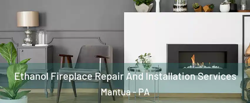 Ethanol Fireplace Repair And Installation Services Mantua - PA