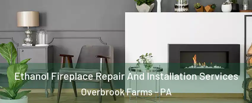 Ethanol Fireplace Repair And Installation Services Overbrook Farms - PA
