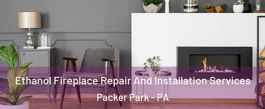 Ethanol Fireplace Repair And Installation Services Packer Park - PA