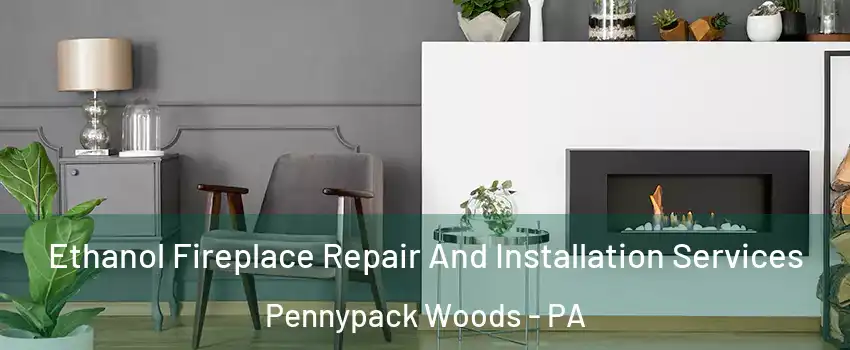 Ethanol Fireplace Repair And Installation Services Pennypack Woods - PA