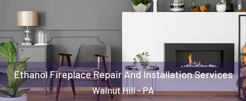 Ethanol Fireplace Repair And Installation Services Walnut Hill - PA