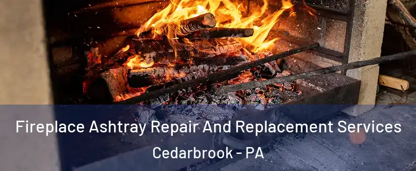 Fireplace Ashtray Repair And Replacement Services Cedarbrook - PA