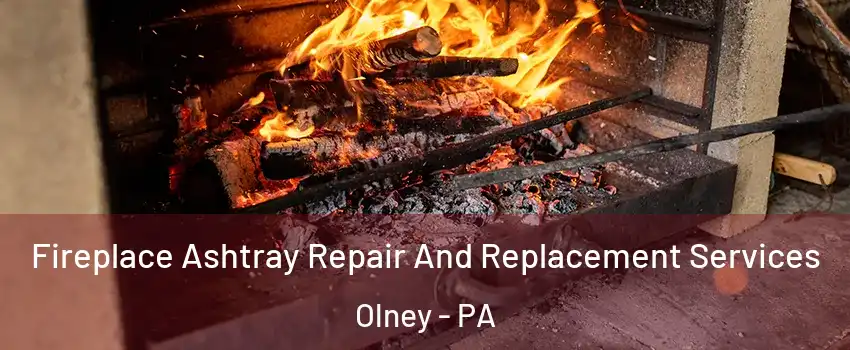 Fireplace Ashtray Repair And Replacement Services Olney - PA