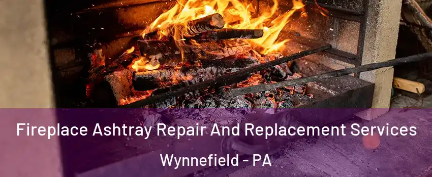 Fireplace Ashtray Repair And Replacement Services Wynnefield - PA