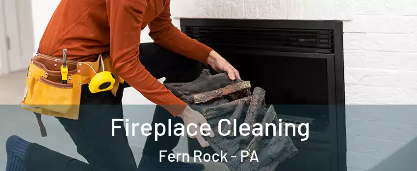 Fireplace Cleaning Fern Rock - PA