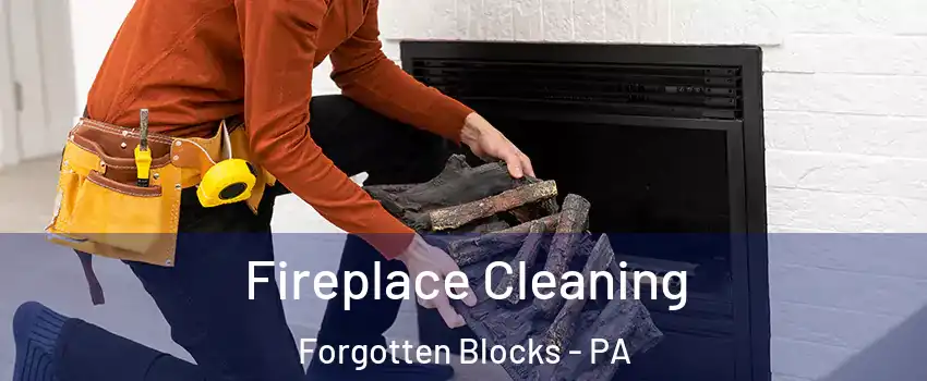 Fireplace Cleaning Forgotten Blocks - PA
