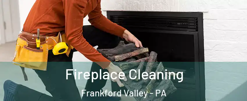 Fireplace Cleaning Frankford Valley - PA