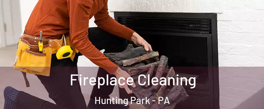 Fireplace Cleaning Hunting Park - PA