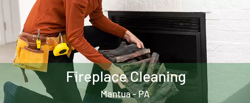Fireplace Cleaning Mantua - PA