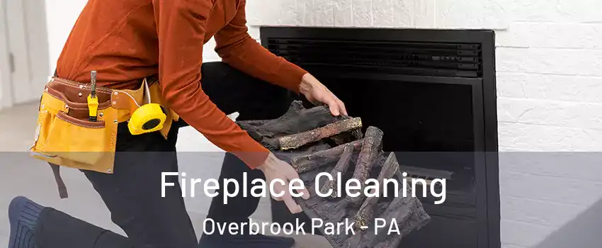 Fireplace Cleaning Overbrook Park - PA