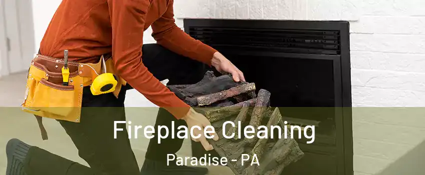Fireplace Cleaning Paradise - PA