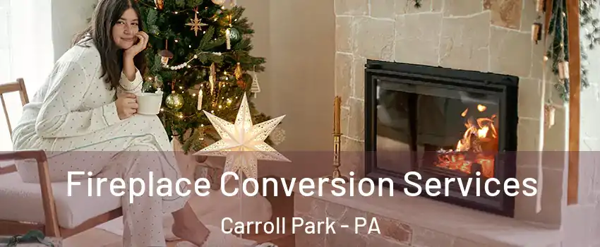 Fireplace Conversion Services Carroll Park - PA