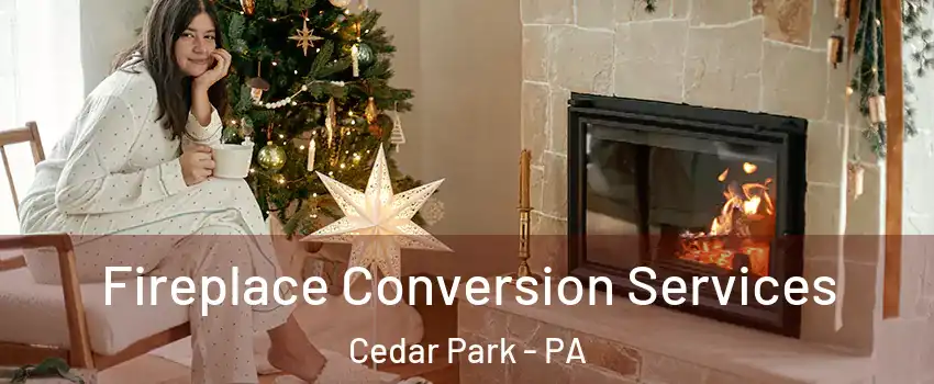 Fireplace Conversion Services Cedar Park - PA