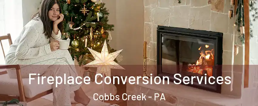 Fireplace Conversion Services Cobbs Creek - PA
