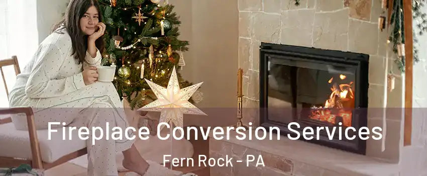 Fireplace Conversion Services Fern Rock - PA