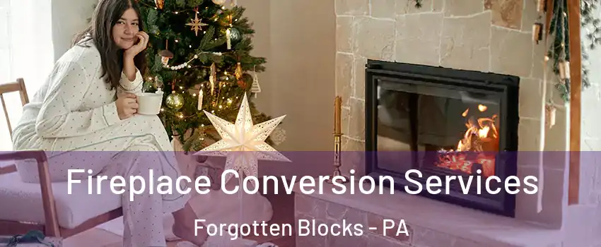 Fireplace Conversion Services Forgotten Blocks - PA