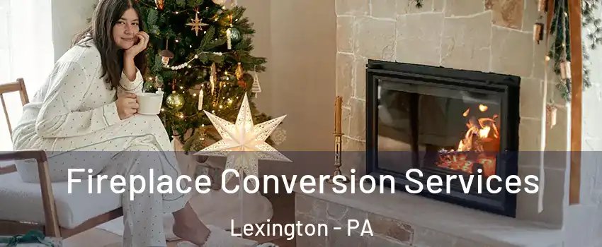 Fireplace Conversion Services Lexington - PA