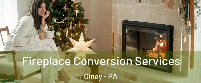 Fireplace Conversion Services Olney - PA