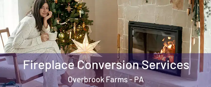 Fireplace Conversion Services Overbrook Farms - PA
