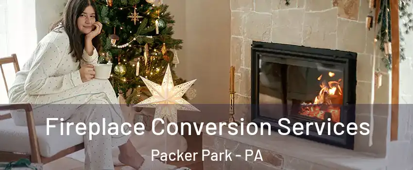 Fireplace Conversion Services Packer Park - PA