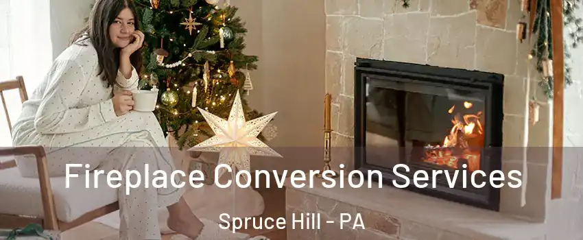 Fireplace Conversion Services Spruce Hill - PA