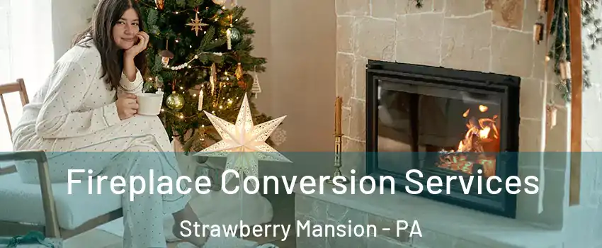 Fireplace Conversion Services Strawberry Mansion - PA