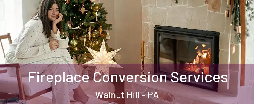 Fireplace Conversion Services Walnut Hill - PA