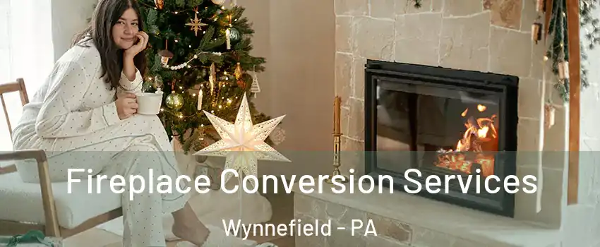 Fireplace Conversion Services Wynnefield - PA