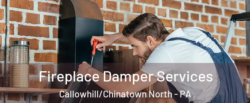 Fireplace Damper Services Callowhill/Chinatown North - PA