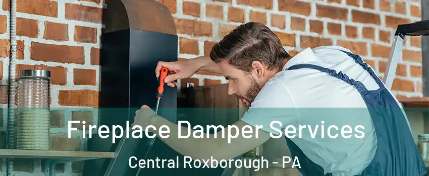 Fireplace Damper Services Central Roxborough - PA