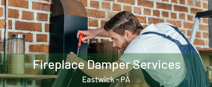 Fireplace Damper Services Eastwick - PA