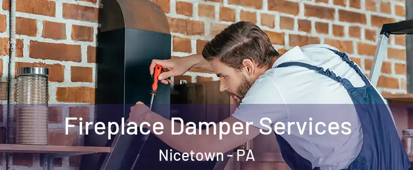 Fireplace Damper Services Nicetown - PA