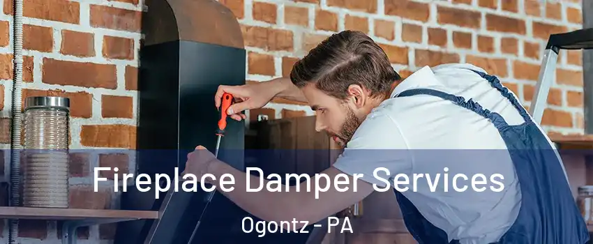 Fireplace Damper Services Ogontz - PA