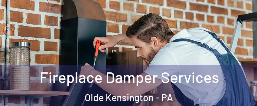 Fireplace Damper Services Olde Kensington - PA