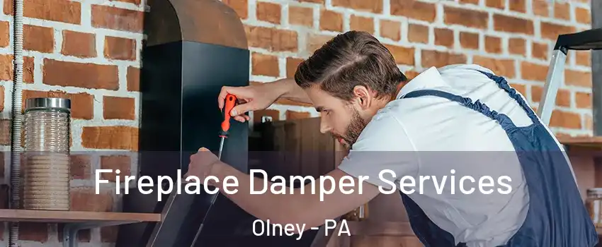 Fireplace Damper Services Olney - PA