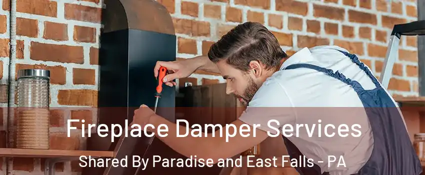 Fireplace Damper Services Shared By Paradise and East Falls - PA