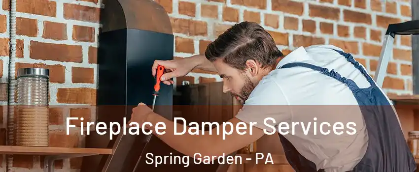 Fireplace Damper Services Spring Garden - PA